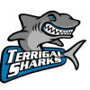 Terrigal Sharks